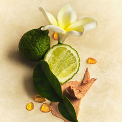 Hair & Body Mist N6