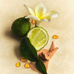 Scent Layering Trio N8
