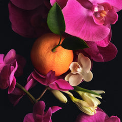 Full Body Fragrance Routine H5